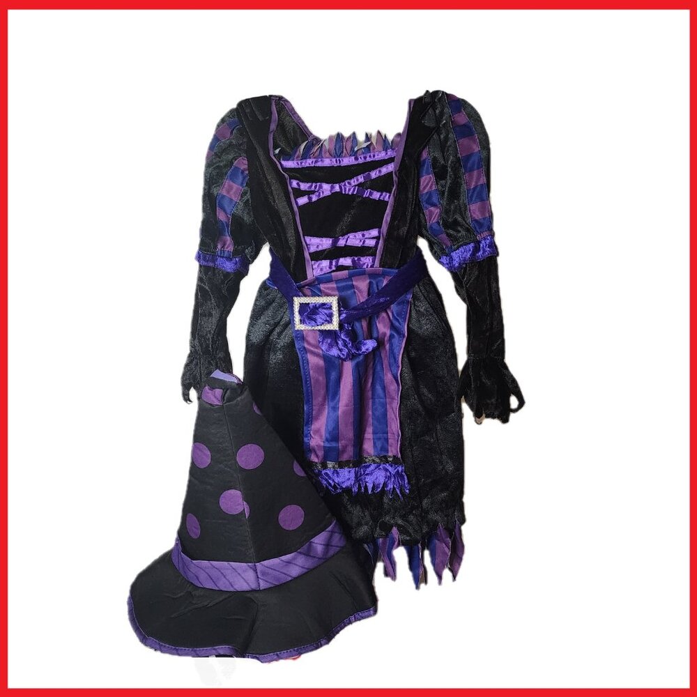 Toddlers Halloween Witch Costume NWT 3T